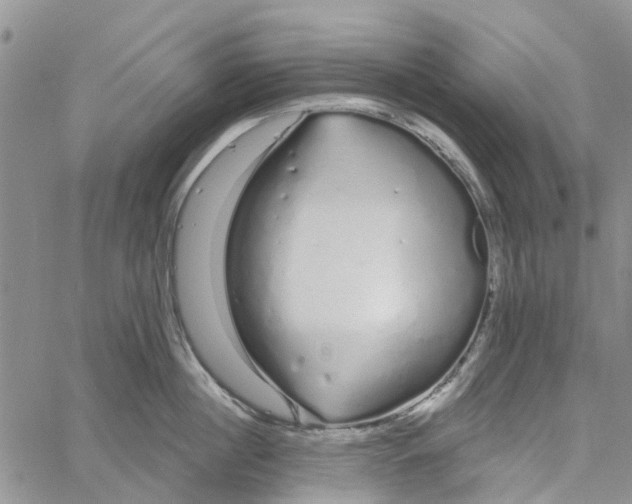 X0000060580860200512011731