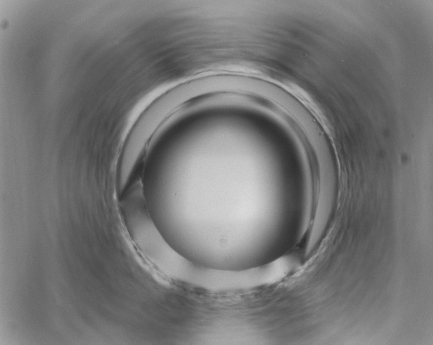 X0000060580862200512011731