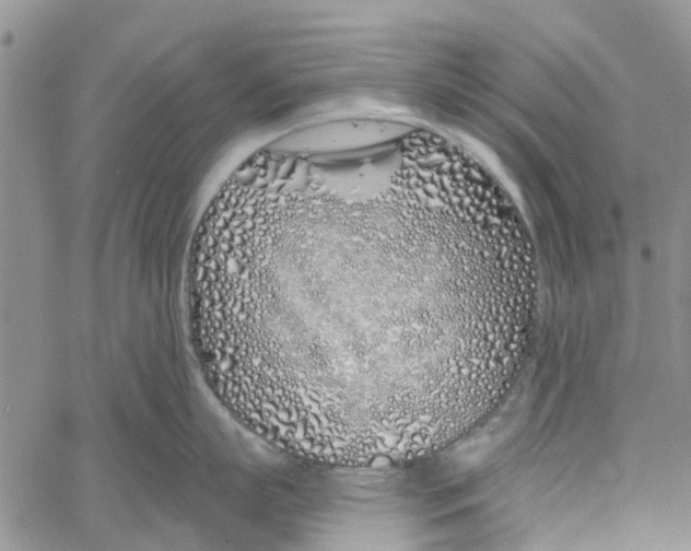 X0000060580863200512011731