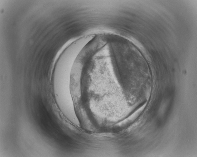 X0000060580864200512011731