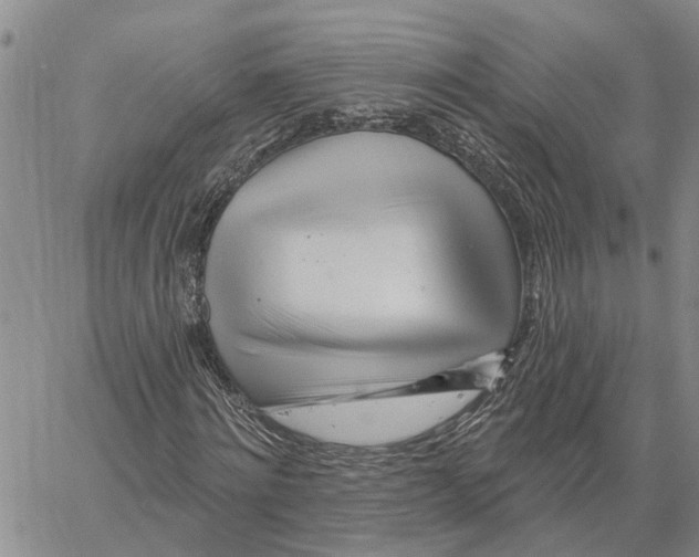 X0000060580868200512011730