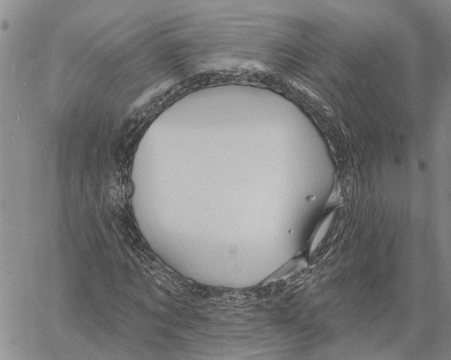 X0000060580869200512011730