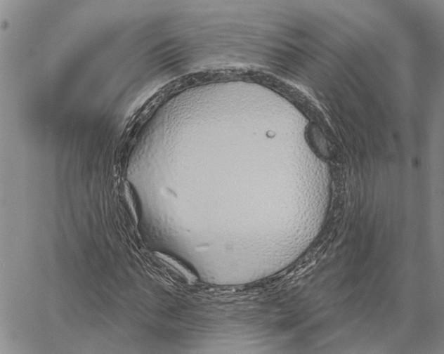 X0000060580871200512011730