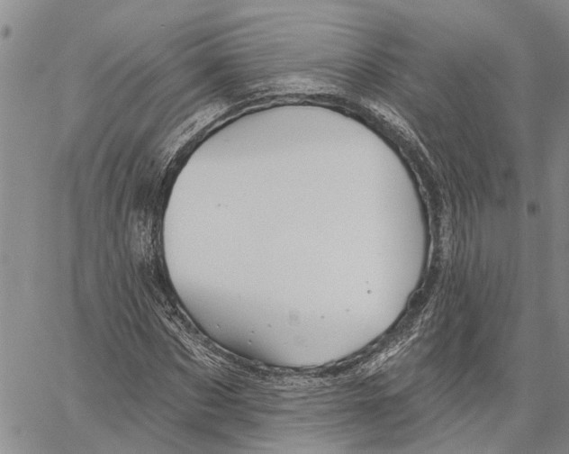 X0000060580873200512011730