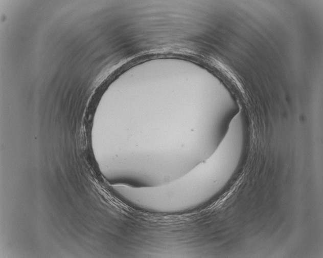 X0000060580876200512011730