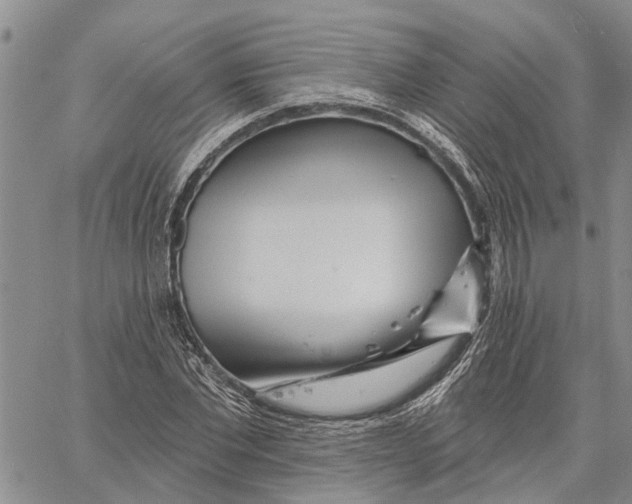 X0000060580877200512011730