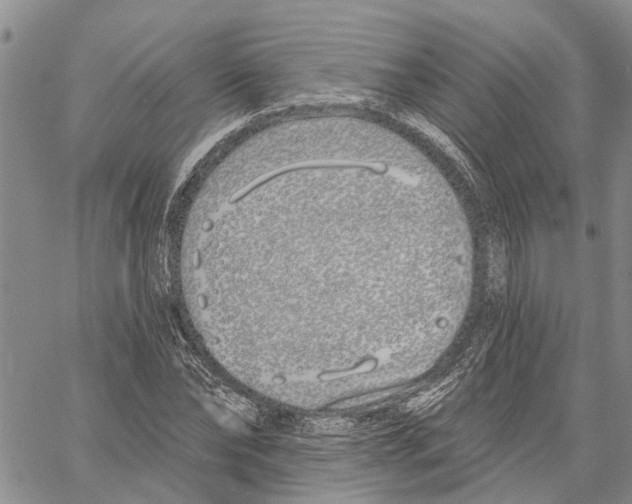 X0000060580878200512011730