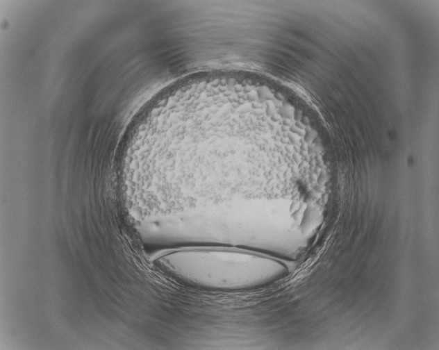 X0000060580879200512011730