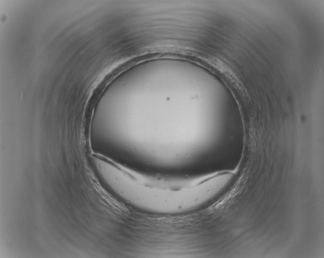 X0000060580880200512011730