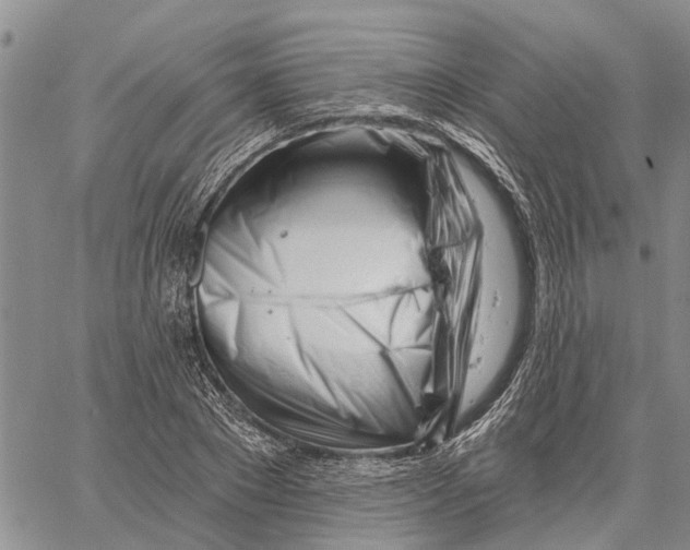 X0000060580881200512011730