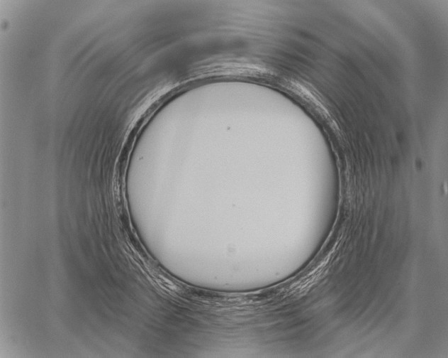 X0000060580883200512011730