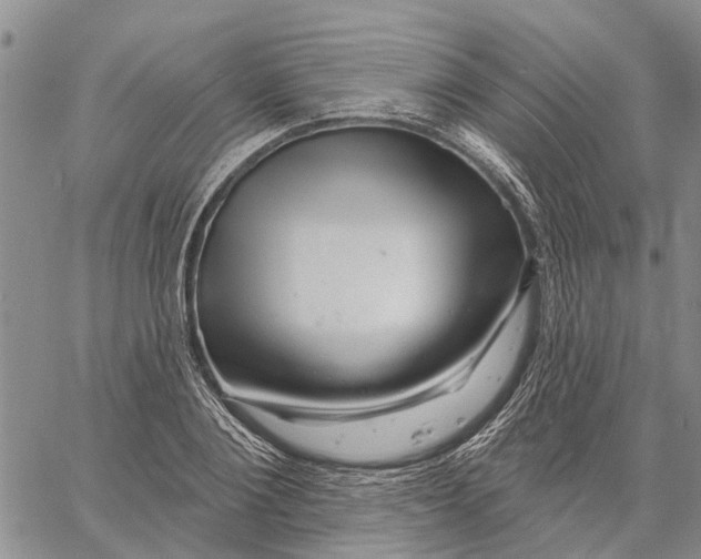 X0000060580884200512011730