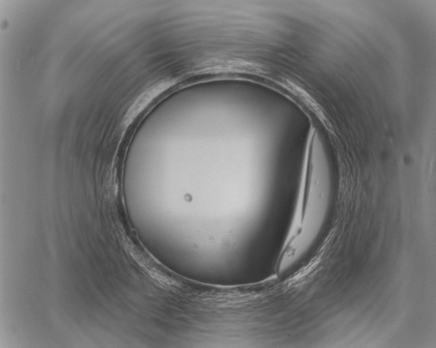 X0000060580885200512011730