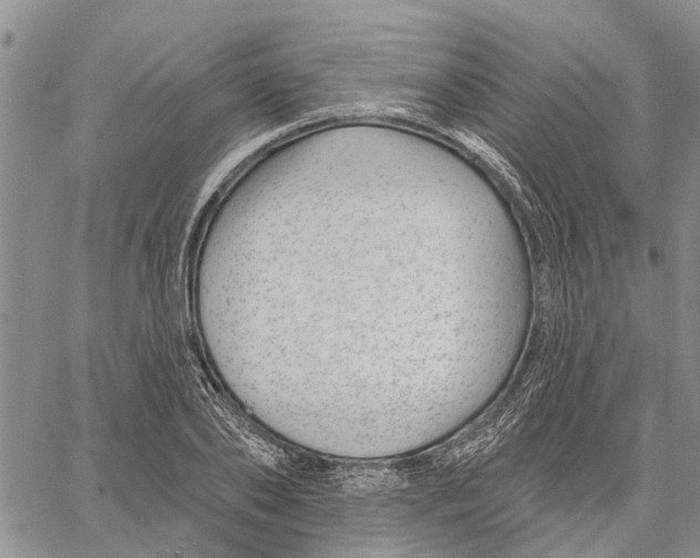 X0000060580886200512011730