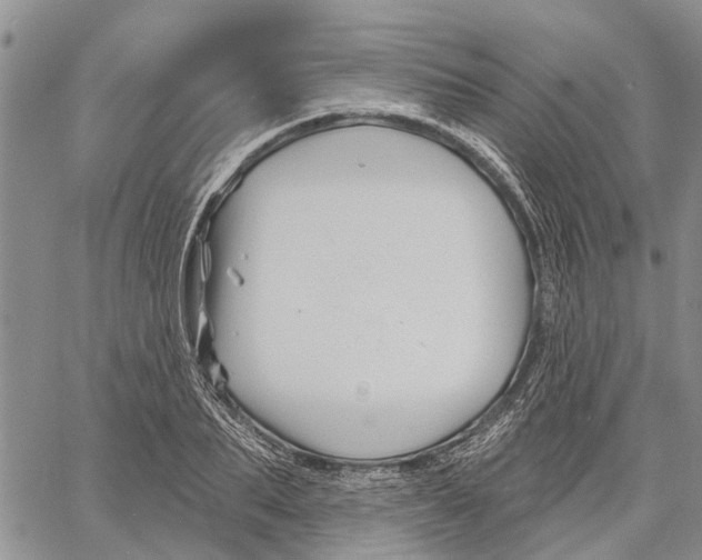 X0000060580887200512011730