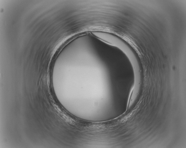 X0000060580888200512011730