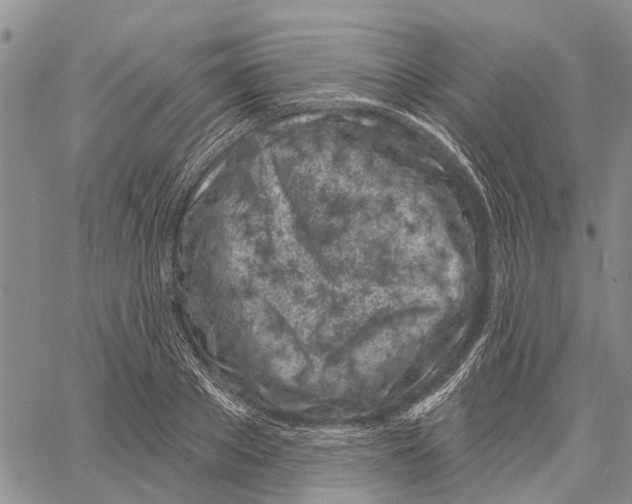 X0000060580889200512011730