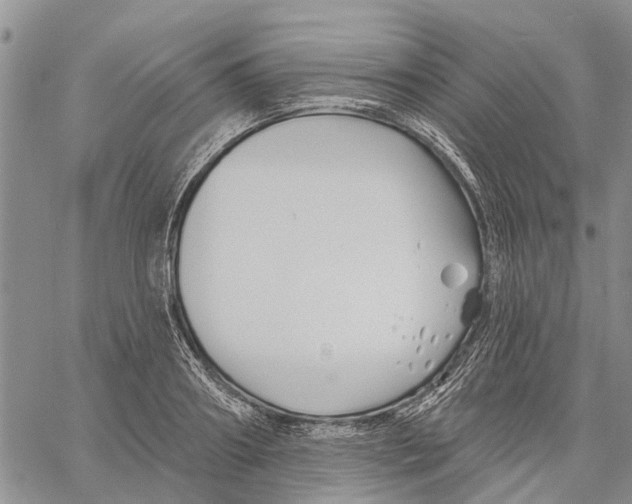 X0000060580890200512011730