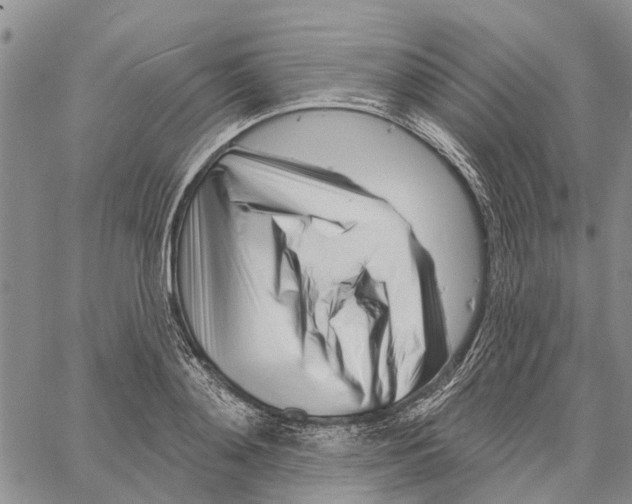 X0000060580892200512011730