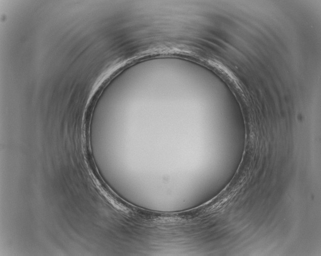 X0000060580894200512011730