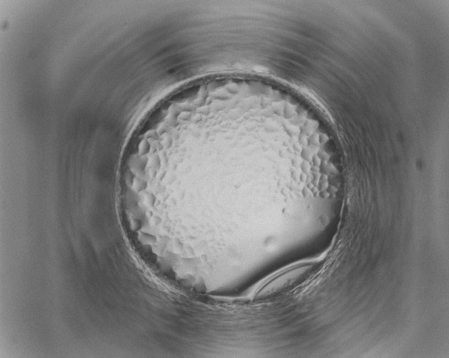 X0000060580895200512011730