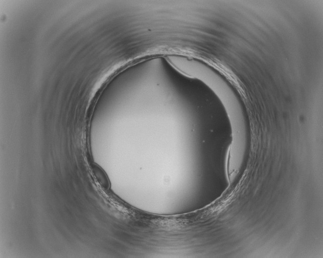 X0000060580896200512011730