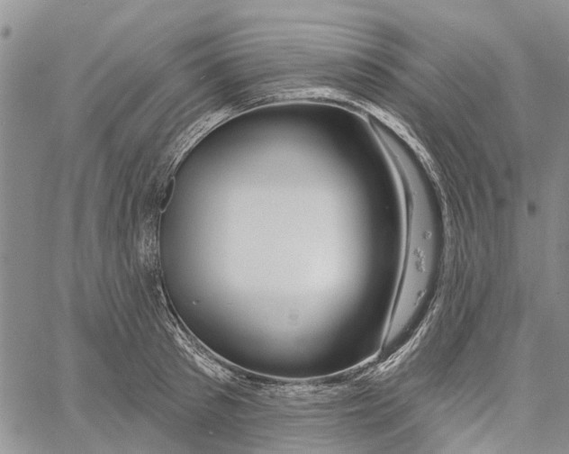 X0000060580897200512011730