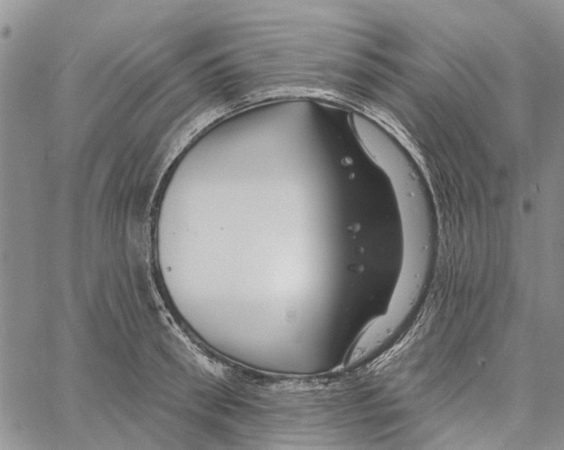 X0000060580898200512011730