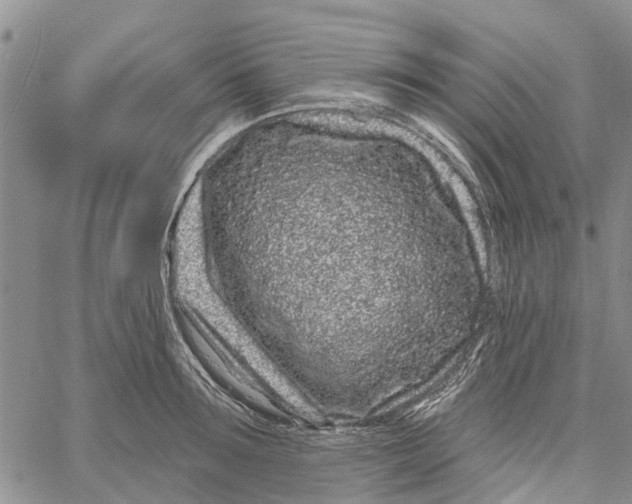 X0000060580899200512011730