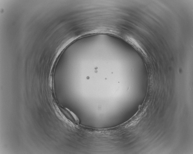 X0000060580900200512011730