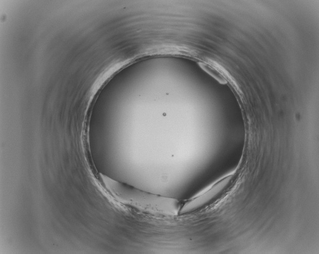 X0000060580901200512011730