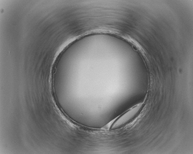 X0000060580902200512011730