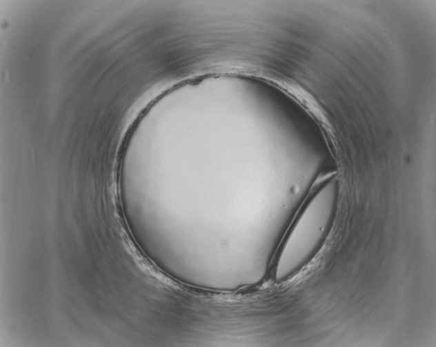 X0000060580904200512011730