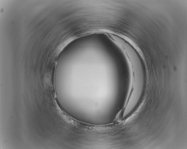 X0000060580905200512011730