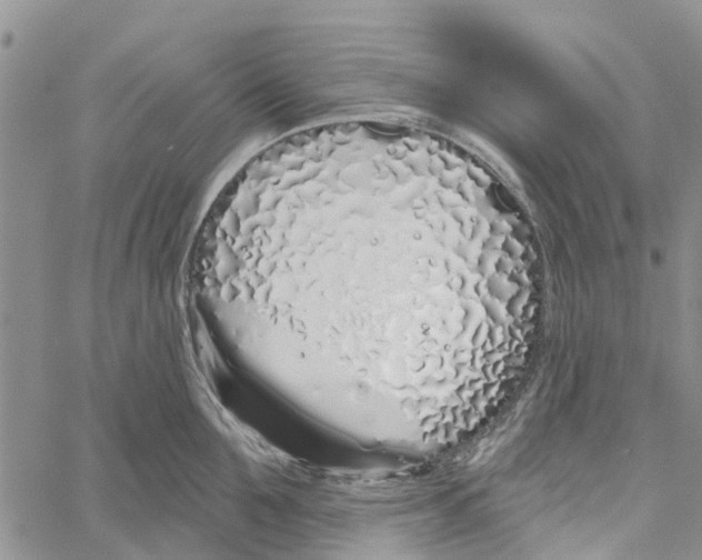 X0000060580907200512011730