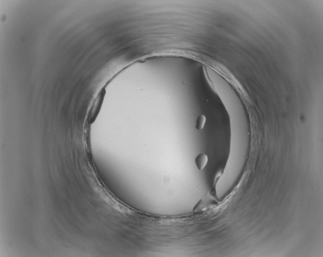 X0000060580908200512011730