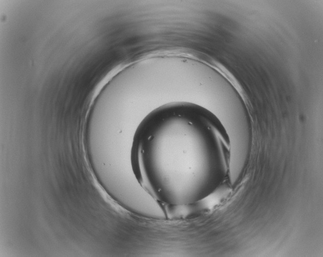 X0000060580909200512011730