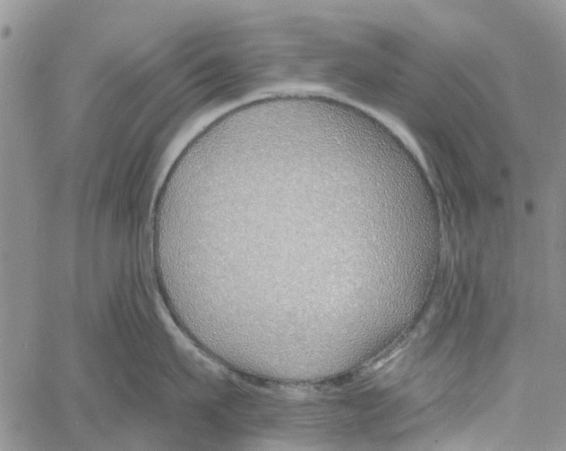 X0000060580911200512011729