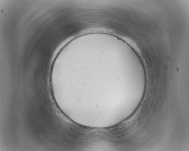 X0000060580912200512011729