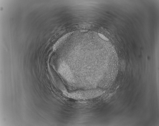 X0000060580913200512011729