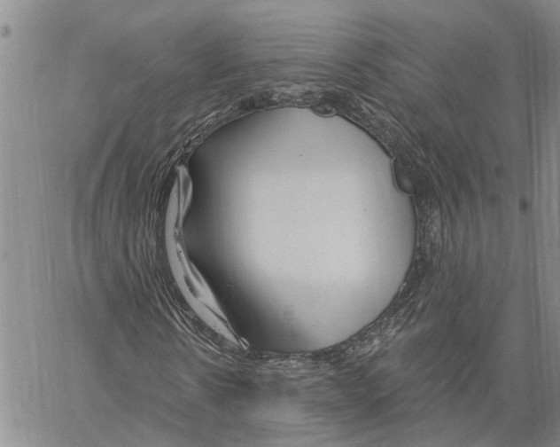 X0000060580914200512011729