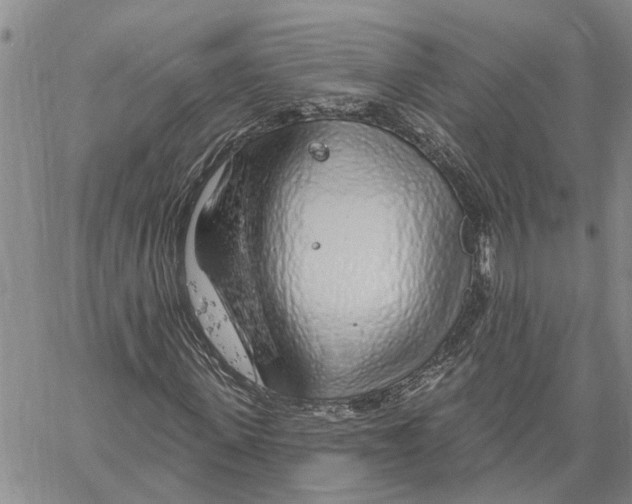 X0000060580915200512011729