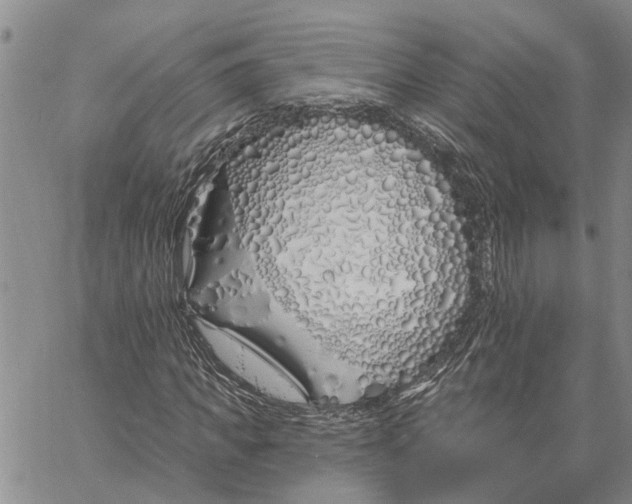 X0000060580917200512011729