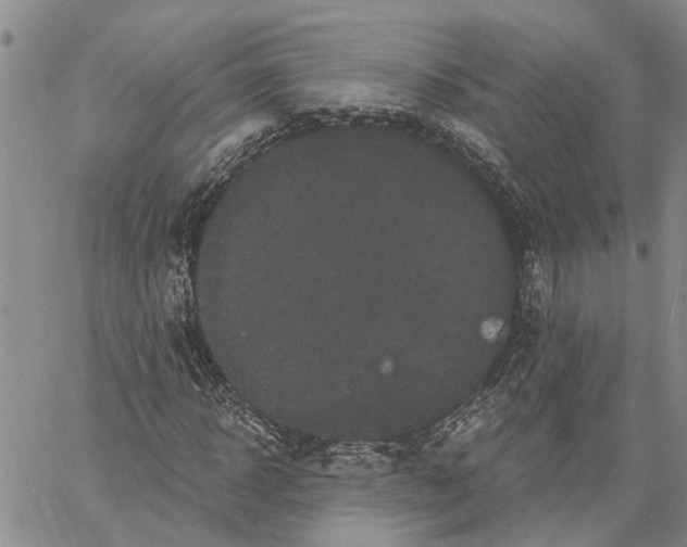 X0000060580918200512011729