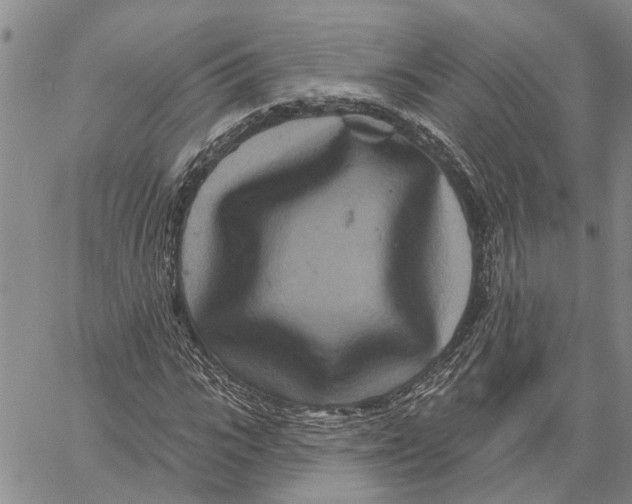 X0000060580919200512011729