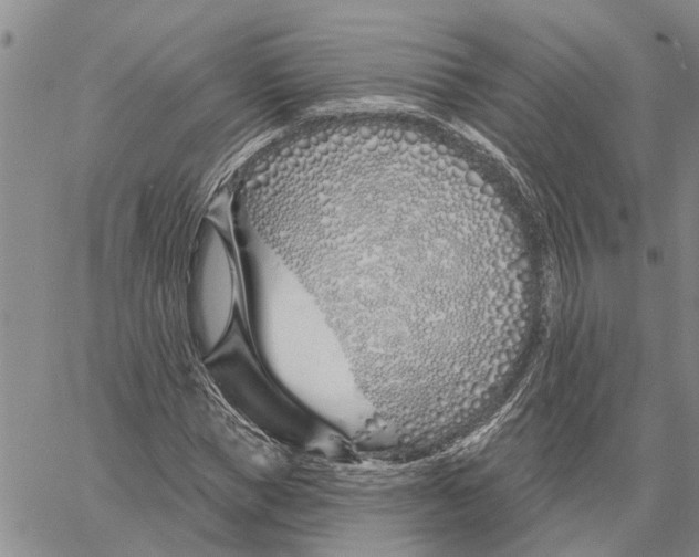 X0000060580921200512011729