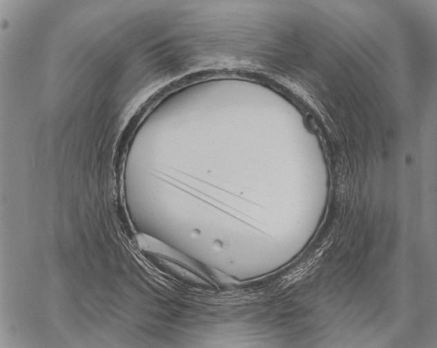 X0000060580927200512011729