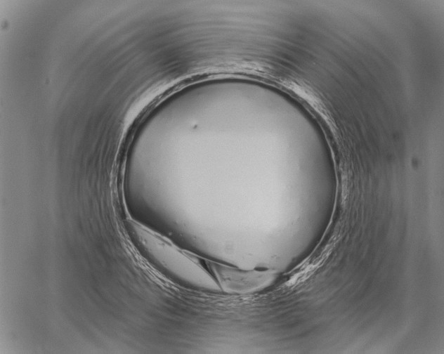 X0000060580928200512011729