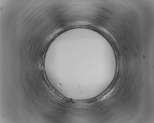 X0000060580929200512011729