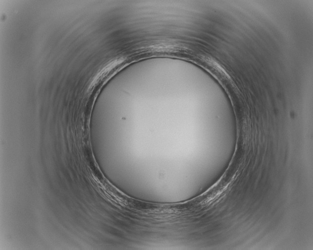 X0000060580930200512011729